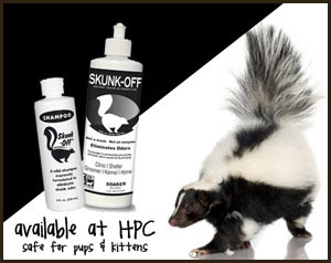skunks